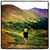 Kathleen Gardner's profile image