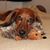 Sharon Duncan's profile image