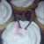 Bella Luna's profile image