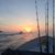 Sherri Clegg's profile image
