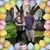 Lisa N Chris Salvey's profile image