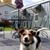 Patty Osborne Knudsen's profile image