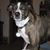 Nancy Vitale Fernandez's profile image