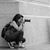 Jennifer Strouse's profile image
