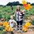 Madelyn Gaddis's profile image