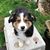 Alice Coakley's profile image