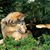Sarah Brinson Wolff's profile image