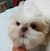 Janet Trost's profile image
