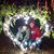 Ashonda N Micheal Thornton's profile image