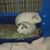Rhonda Wadsworth's profile image