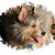 Roxanne Janes's profile image