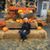 Linda Novak Anderson's profile image