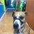 Wendy Hassig's profile image