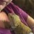 Jennifer Powers's profile image