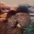 Christy Saltzman's profile image