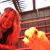 Holly Cockerham's profile image
