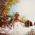 Dryden Van Cleave's profile image