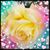 Rosie Willock's profile image