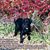 James H. Nelson's profile image