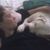 Kerry Grondin's profile image