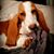 Amanda Donato Brewer's profile image