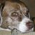 Teri Hendrickson's profile image
