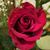 Devin-Marie Bullers Skinner's profile image