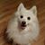 Lynne DePaul Hale's profile image