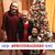 Aimee Shule Chandler's profile image