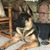 Cathy Stofer Wyse's profile image