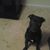 Michelle Lynn Beach-porter's profile image