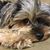 Nancy Ellen Parient's profile image