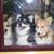Barb Rovinelli's profile image