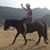 Kevin Murray's profile image