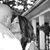Janice O'Neal Case's profile image