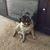 Paulette L Emerson's profile image