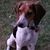 Wm McAvoy's profile image