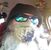Nagasiva Yronwode's profile image