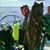 Scott Morris's profile image