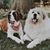 Karen Rodier Tracy's profile image