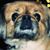 Tammy Smith Sweeney's profile image