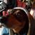 Ernie Thomas's profile image