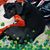 Shanna Thompson's profile image