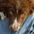 Pauly Knipfer's profile image