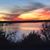 Susan Sedoris Foertsch's profile image