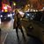 Trish McAulay's profile image
