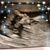 Marcia Denmead's profile image