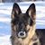 Anita Piccolo Munoz's profile image