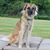 Nicole Eddy's profile image