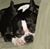 Rita Love Jewell's profile image